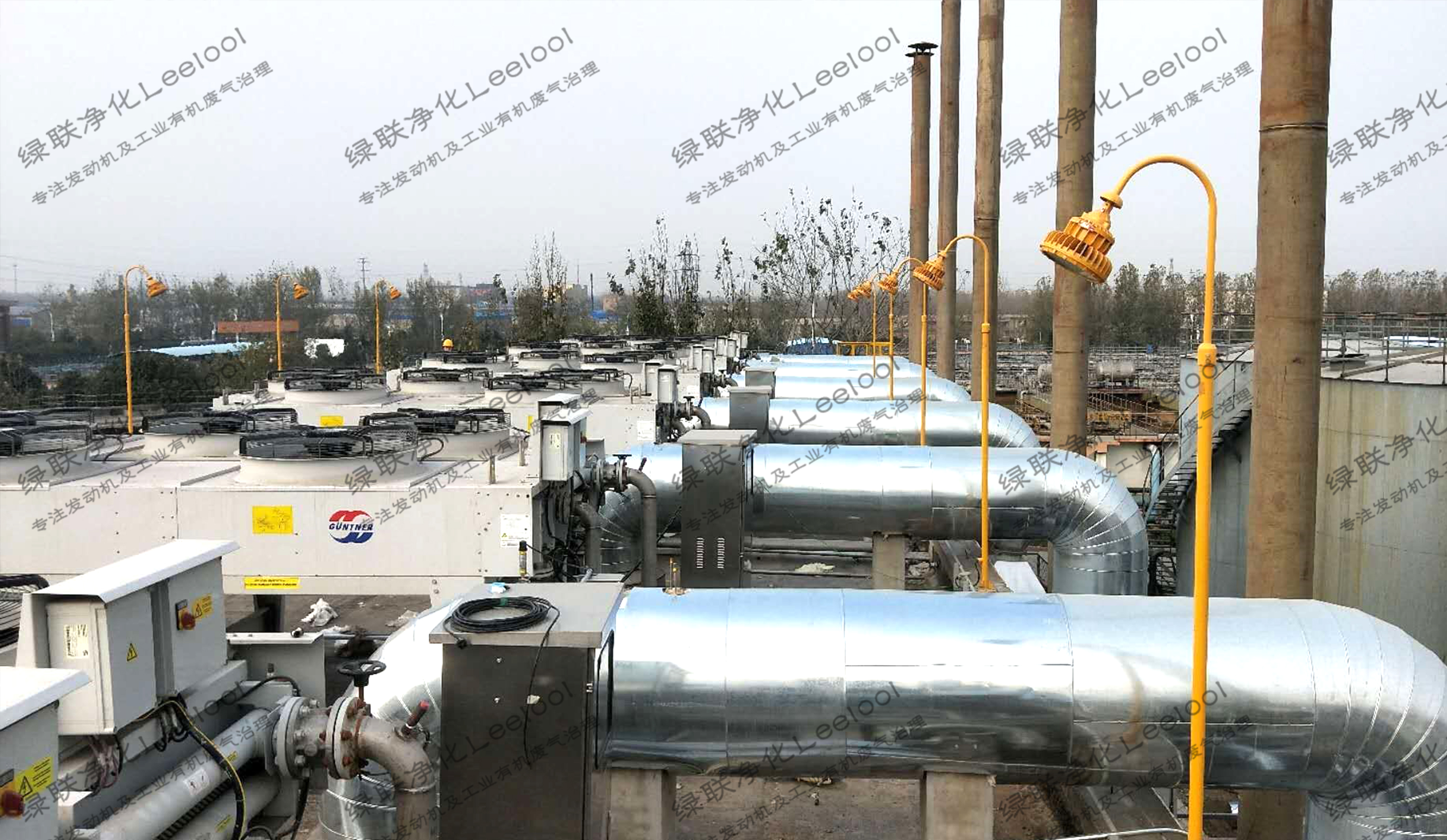 沼氣發(fā)電機組脫硝